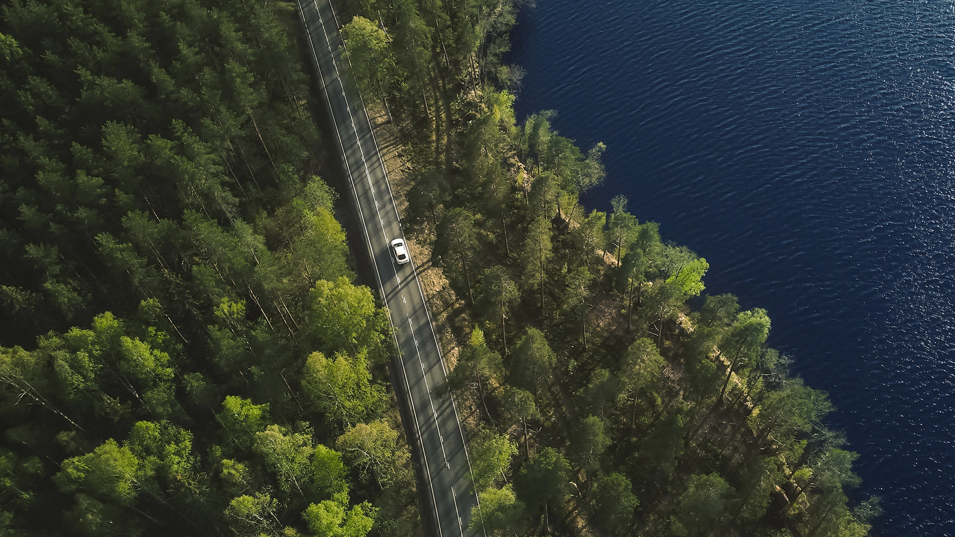 Tai VEHO. Keliu važiuojantis automobilis miškų apsuptyje.