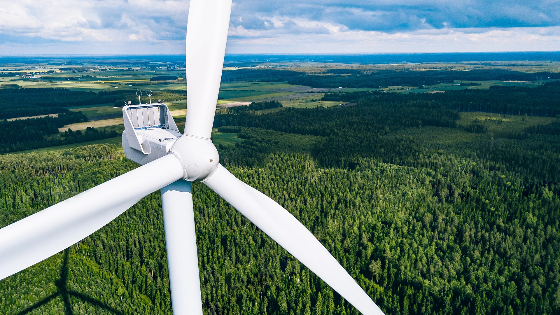 Tvarus judėjimas. Vėjo jėgainė miškų fone