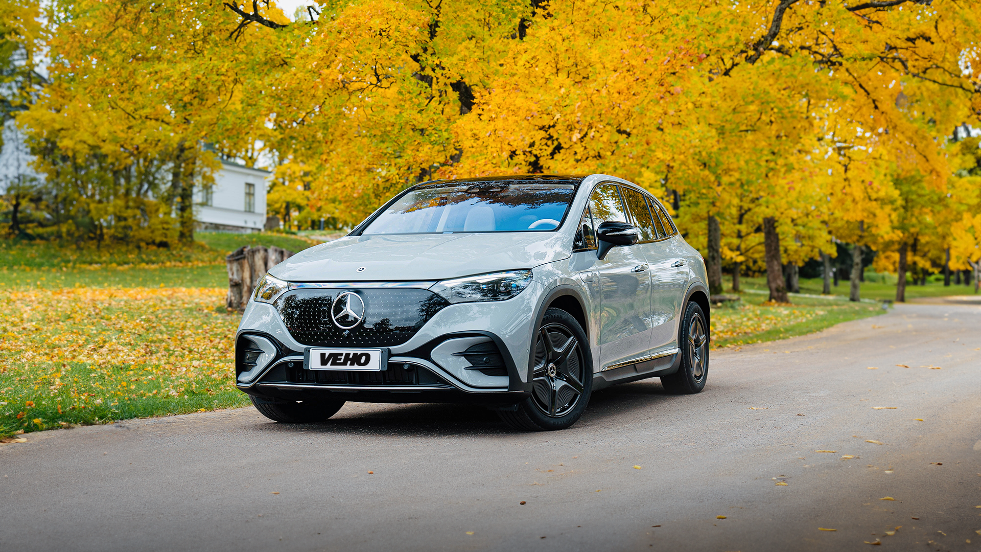 EQE visureigis rudens fone