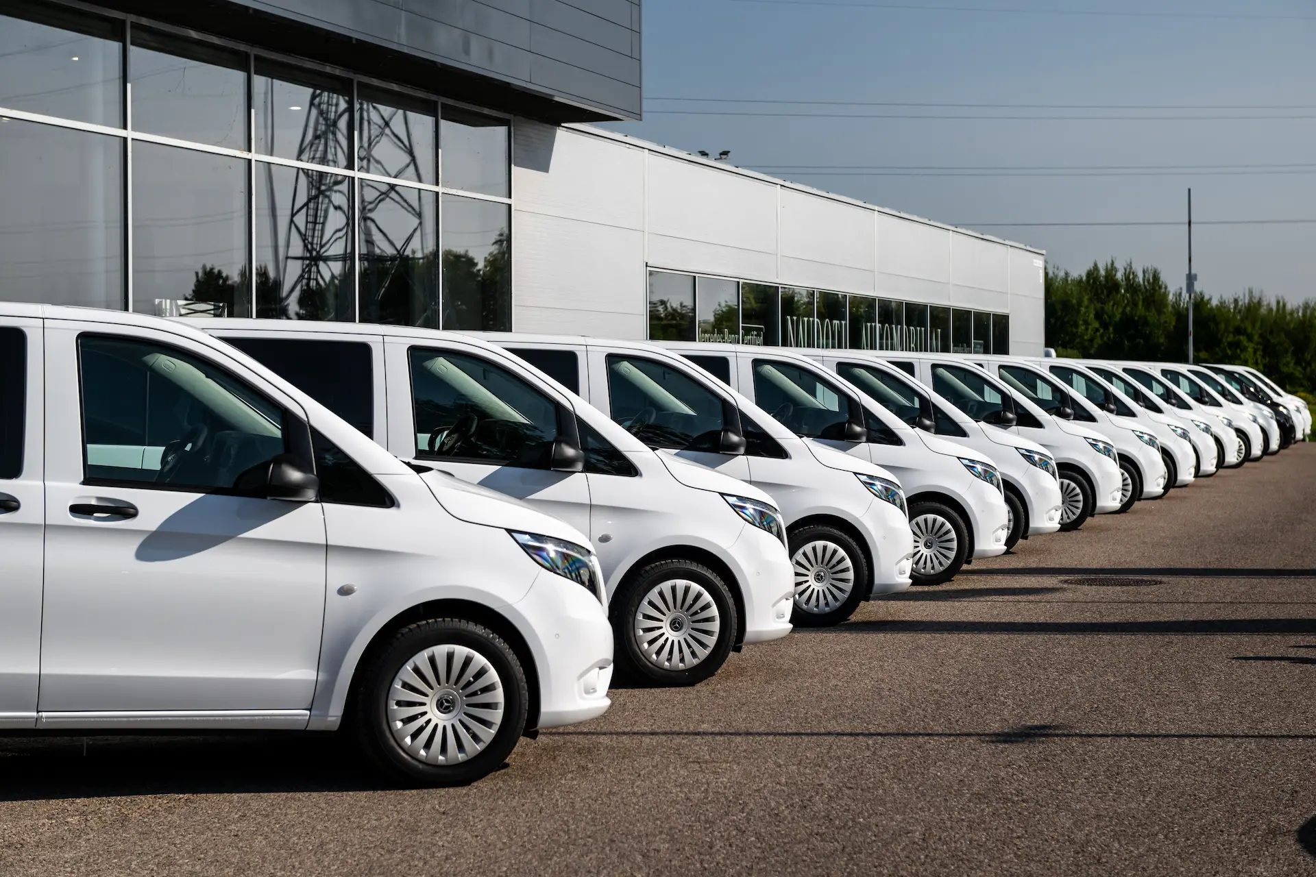 Išrikiuoti Vito prie atstovybės